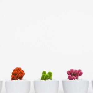 Black Over-the-shoulder Handbag